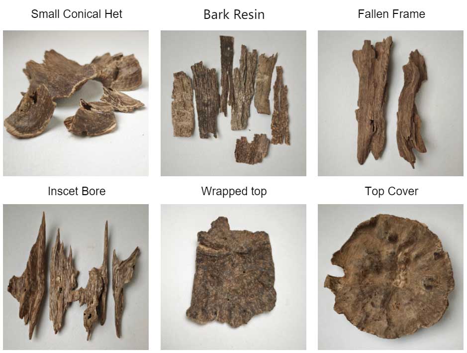 Agarwood Classification